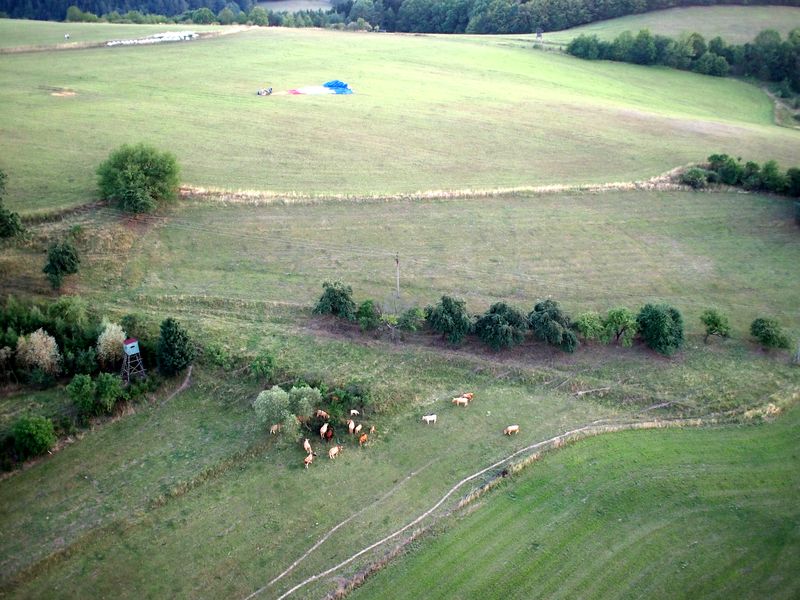 Výhledy z horkovzdušného balónu na pole