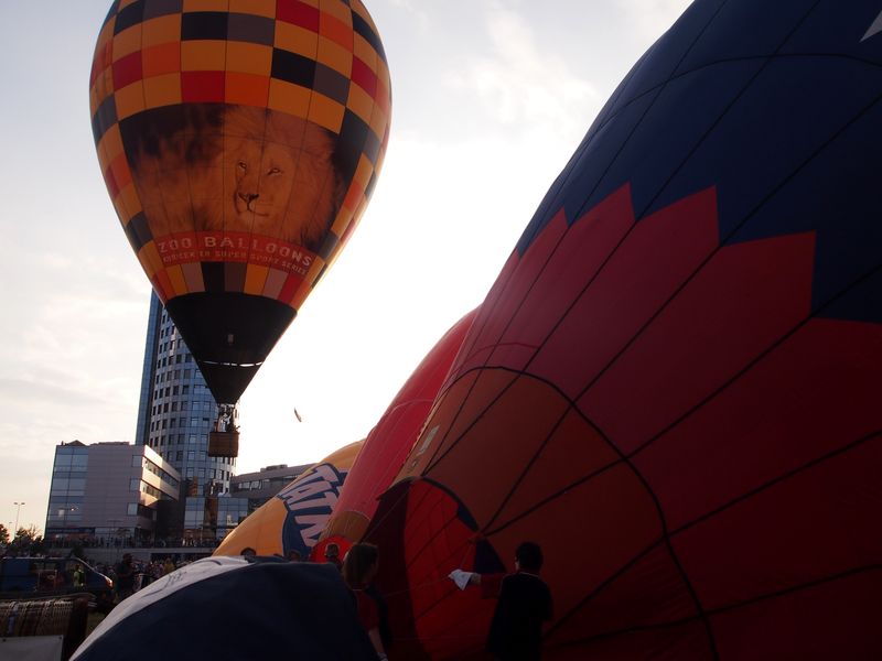 Horkovzdušný balon s motivem lva